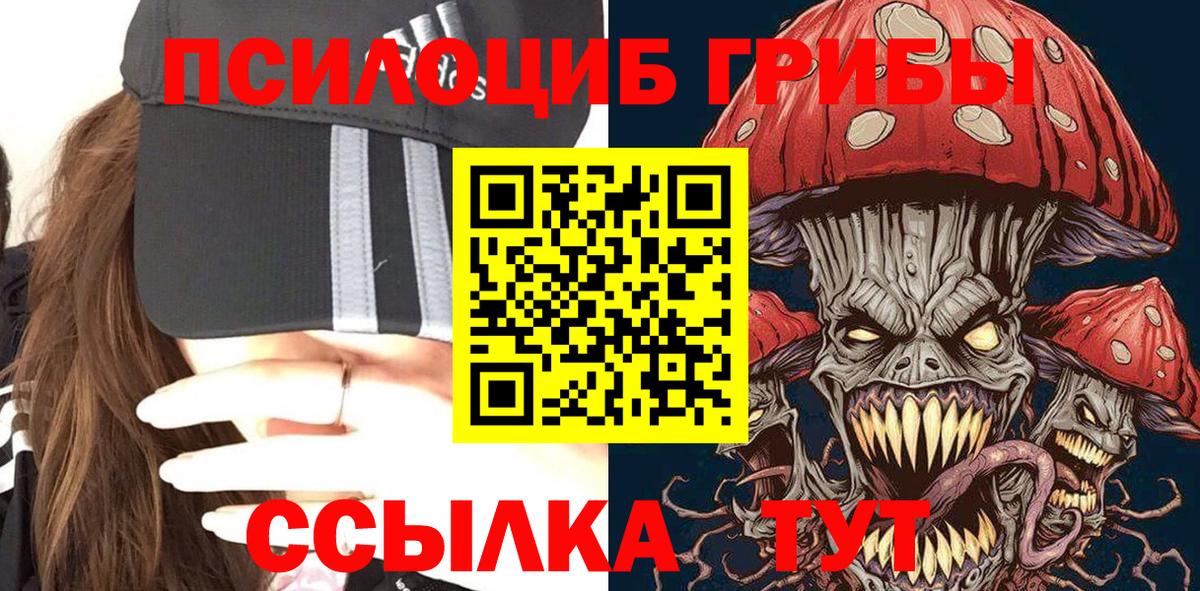 Галлюциногенные грибы Psilocybe  закладка  Мытищи  Вход с VPN 