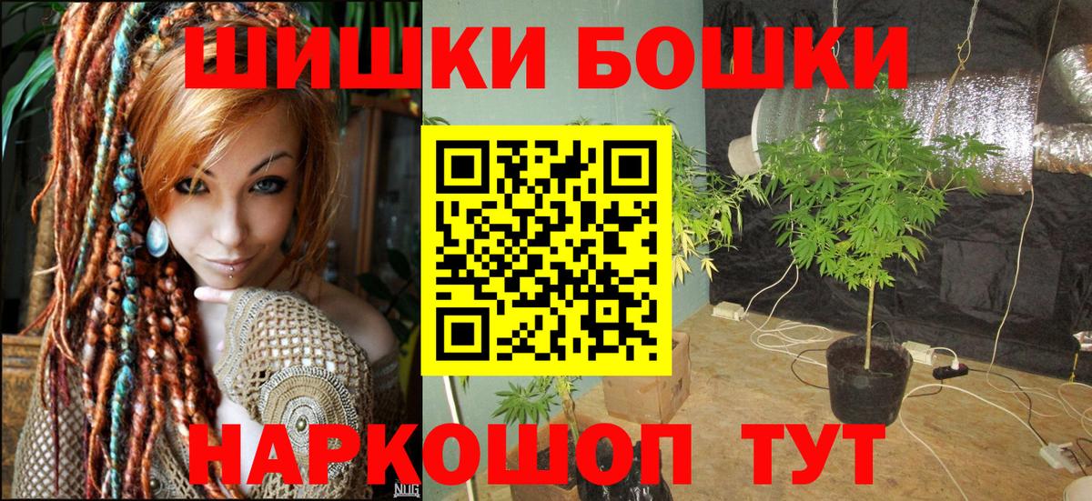 Бошки Шишки семена  Шишки марихуана White Widow  МАРИХУАНА ГИДРОПОН  Вход с VPN  Мытищи  Бошки Шишки VHQ 